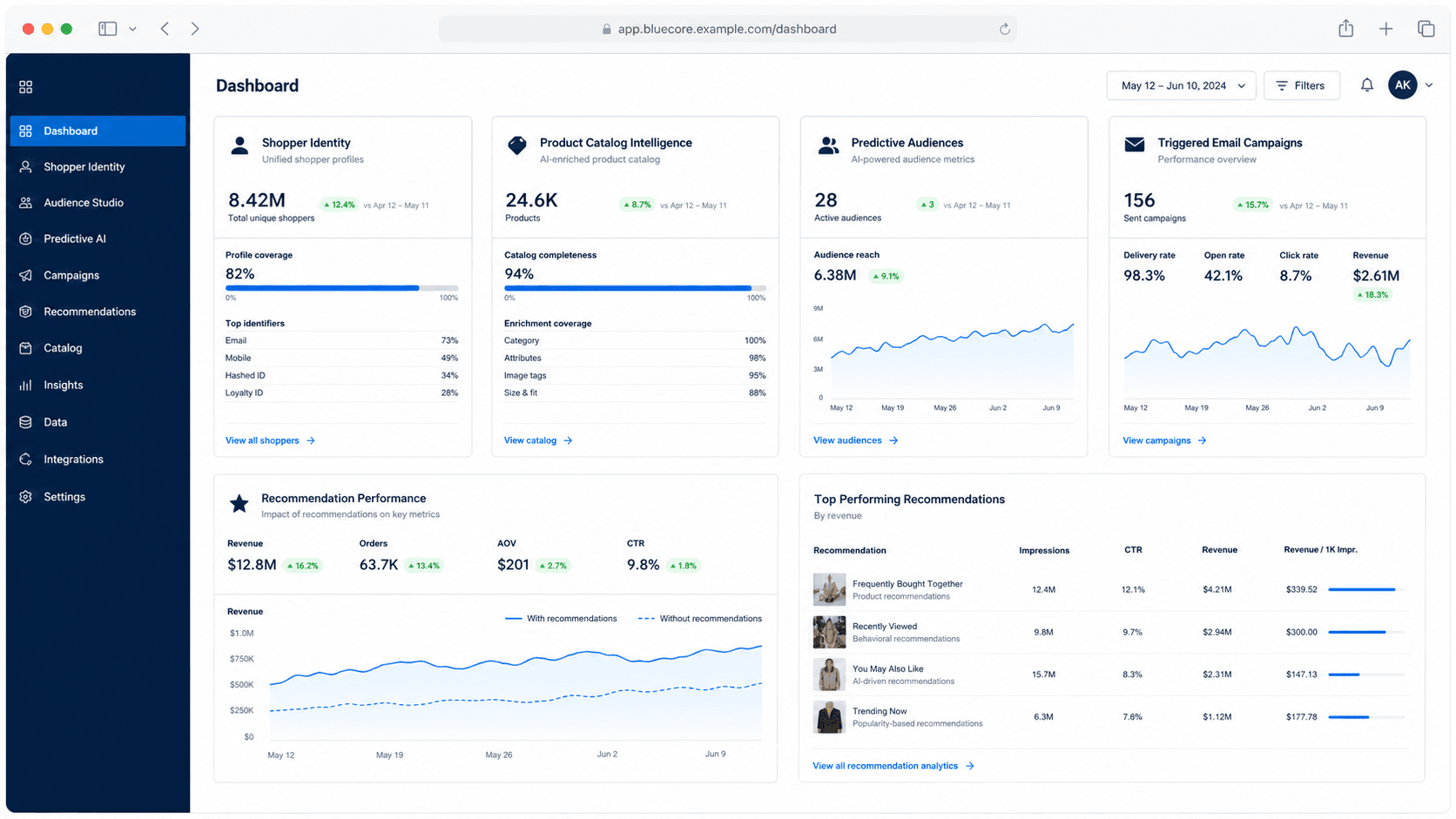 Bluecore screenshot